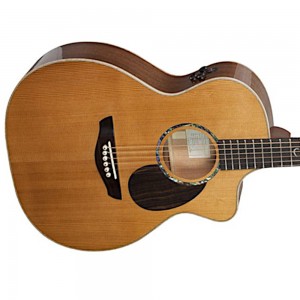 Faith Legacy Earth Rosewood CE Acoustic Guitar